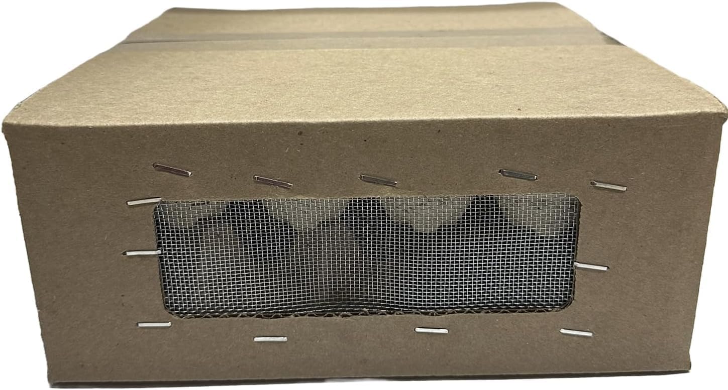 BASSETT'S CRICKET RANCH 500 Large (1") Banded Crickets - Happypetzone.online - Image 3
