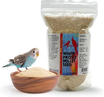 bird vitamins supplements