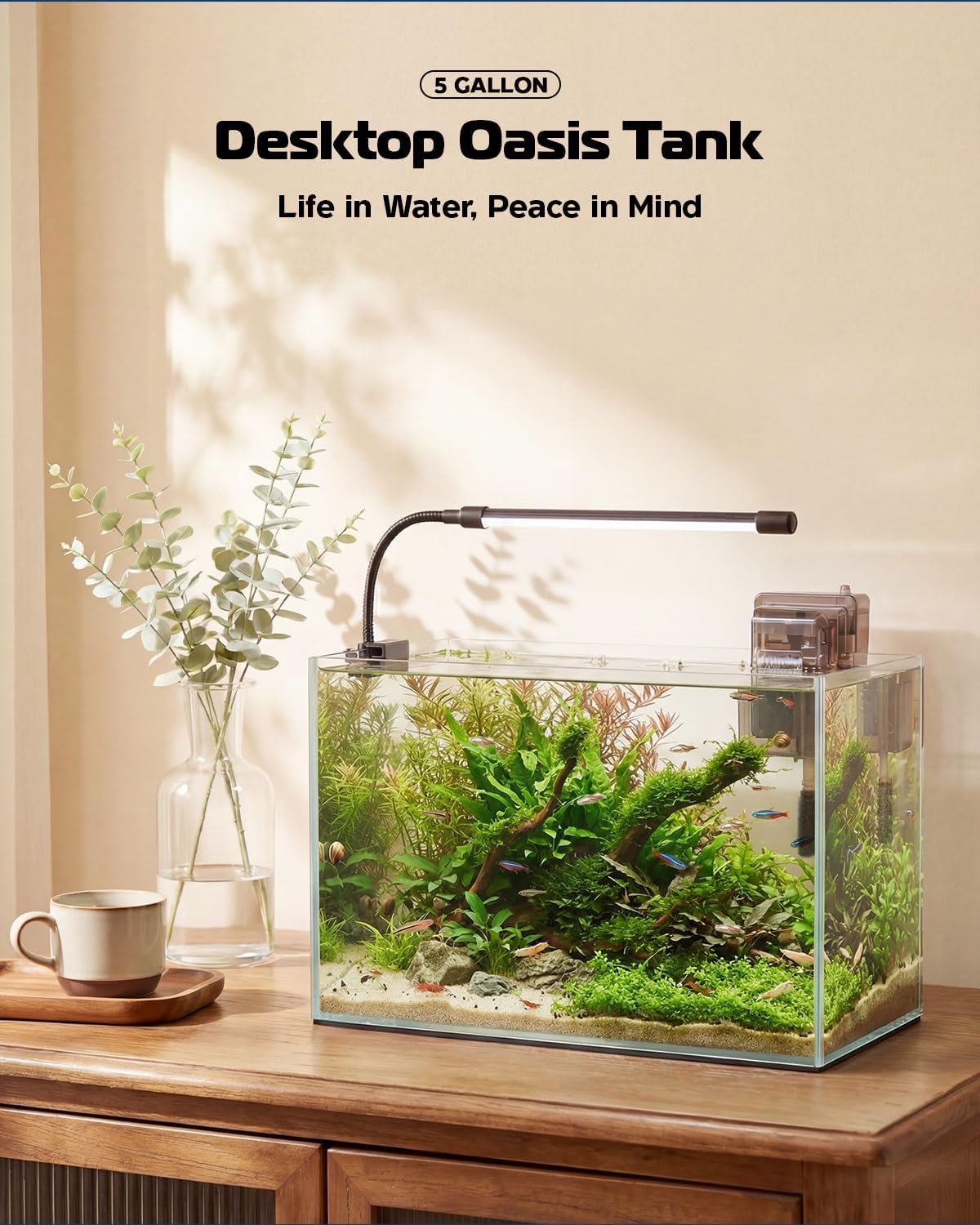 Glass Fish Tank Kit, 5 Gallon Betta Fish Tank Aquarium Starter Kit with Filter, Lights, Lid, for Betta, Goldfish, Small Fish or shrimg,Clear - Happypetzone.online - Image 8