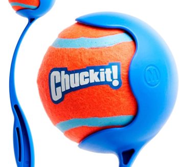 dog fetch toys