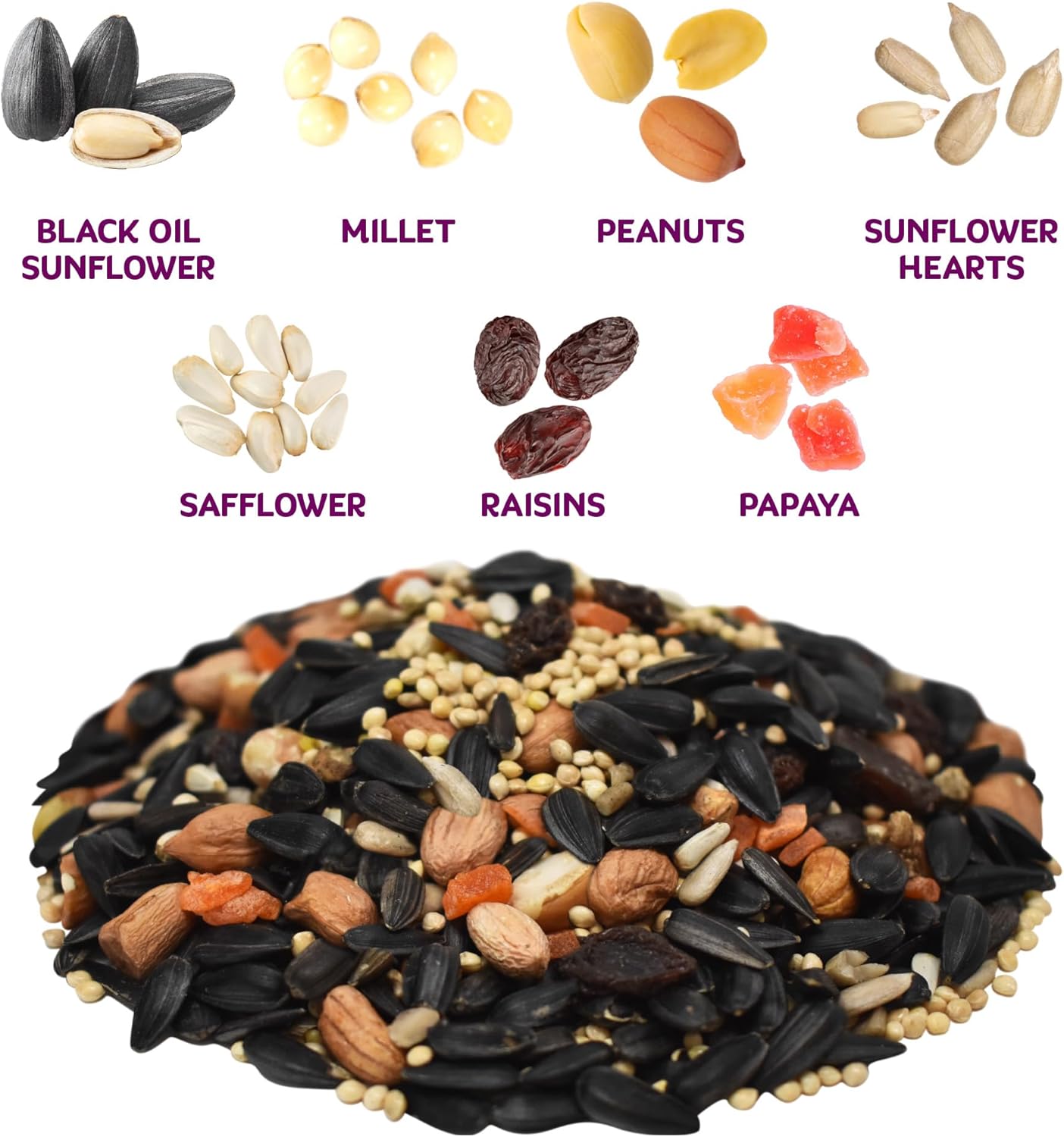 Audubon Park Nut & Fruit Wild Bird Seed – 8 lb. Premium Blend with Sunflower Seeds, Peanuts, Safflower & Dried Fruit – Bird Food for Outside Feeders - Happypetzone.online - Image 2