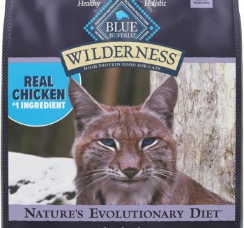 best dry cat food