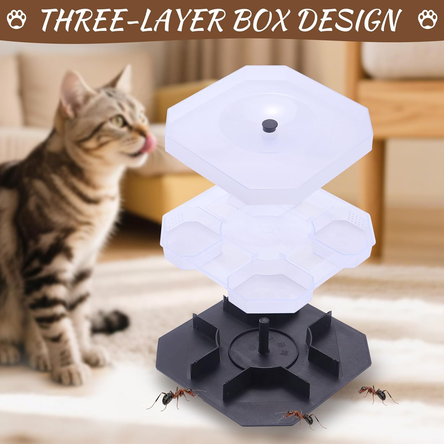 Wellness Pet Food Tray for Ant, Cat Food Bowls Tray Dog Feeding Station Outdoor Feeder Plastic Shelf with Lip for Small Dogs Feral Cats - Happypetzone.online - Image 4