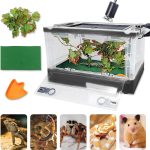 terrarium kit complete
