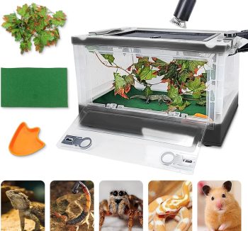 terrarium kit complete