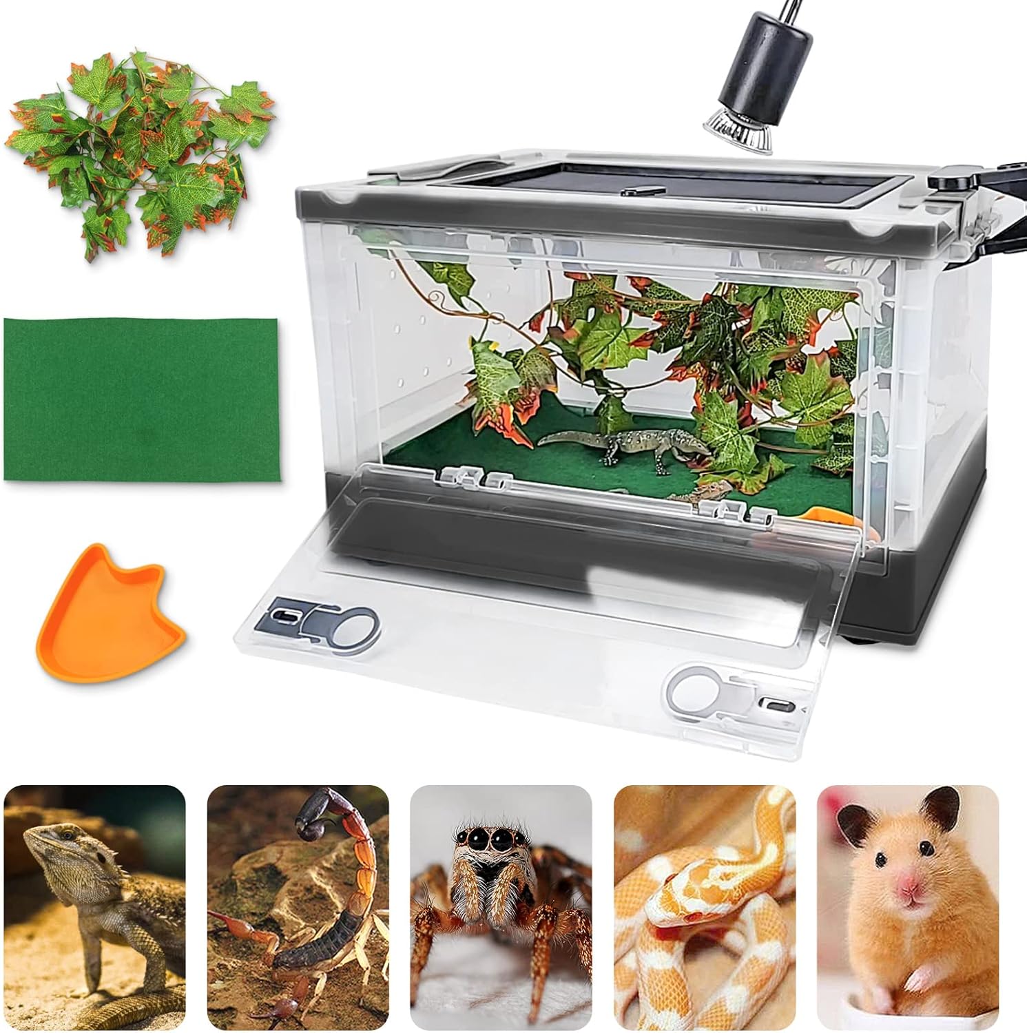 terrarium kit complete