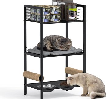 small pet living space
