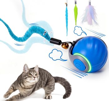 interactive cat toys