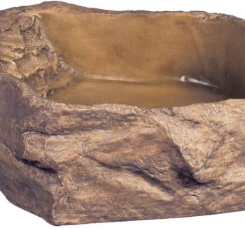 reptile water dish bowl