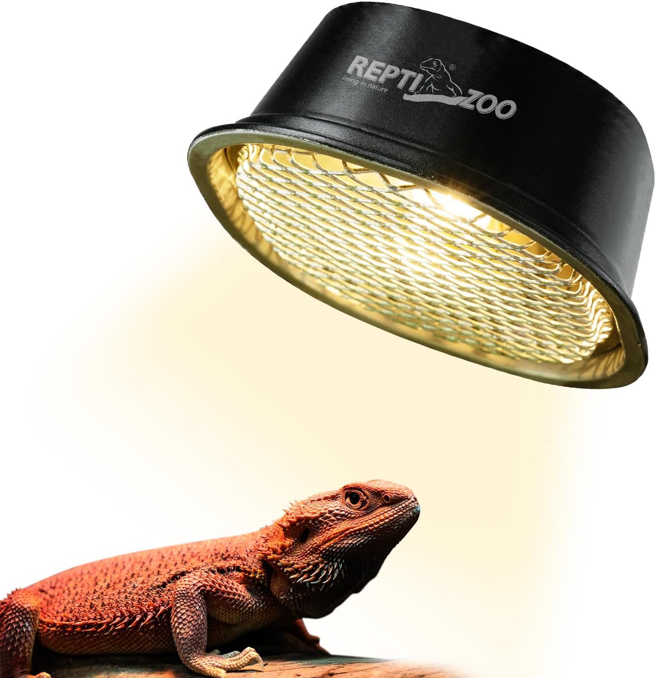 reptile heating lamp