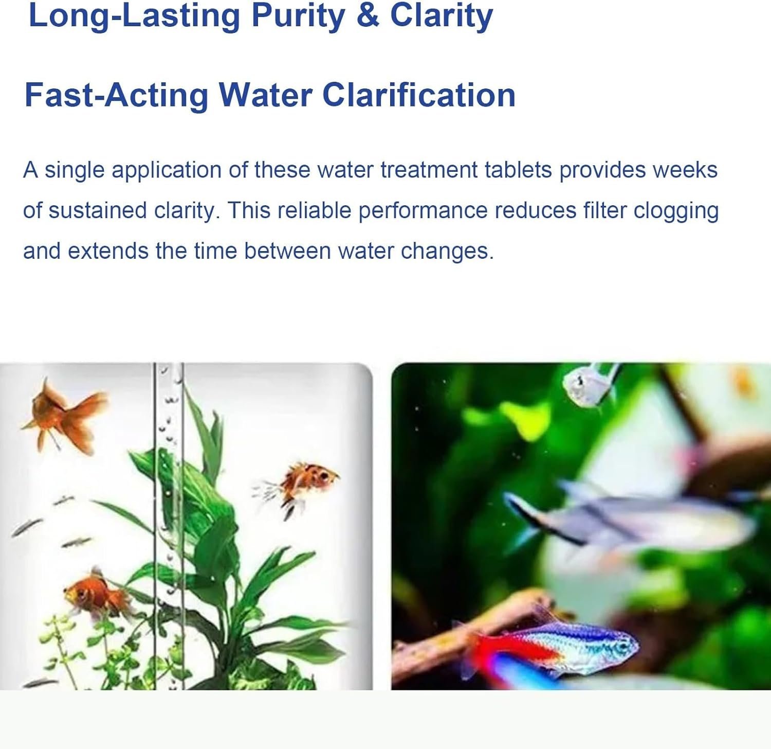 Water Purification Tablets for Fish Tank - Happypetzone.online - Image 3