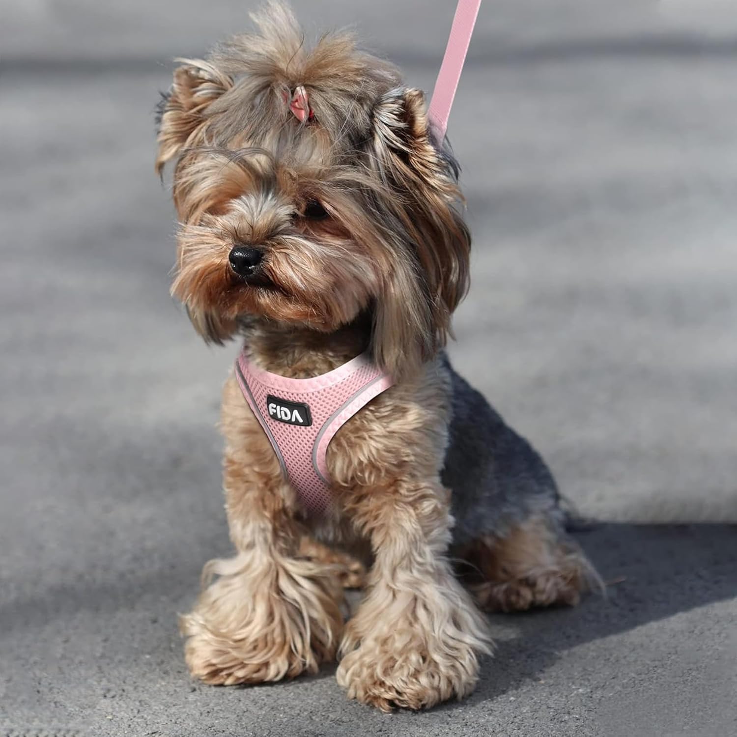 Fida Cat Harness and Leash Set for Walking Kitten and Puppy, Escape Proof Kitten Harness with Breathable Lightweight Soft Mesh, Adjustable Reflective Step-in Design. (XXXS, Pink) - Happypetzone.online - Image 6