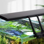 aquarium light for plants