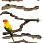 bird perch wood natural