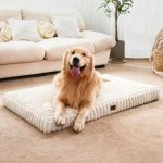 dog bed non slip