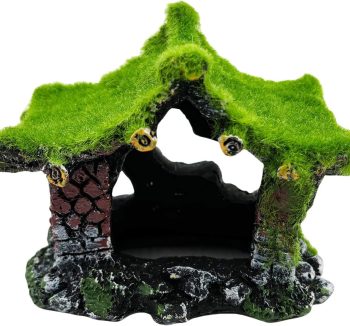 fish tank for home decor
