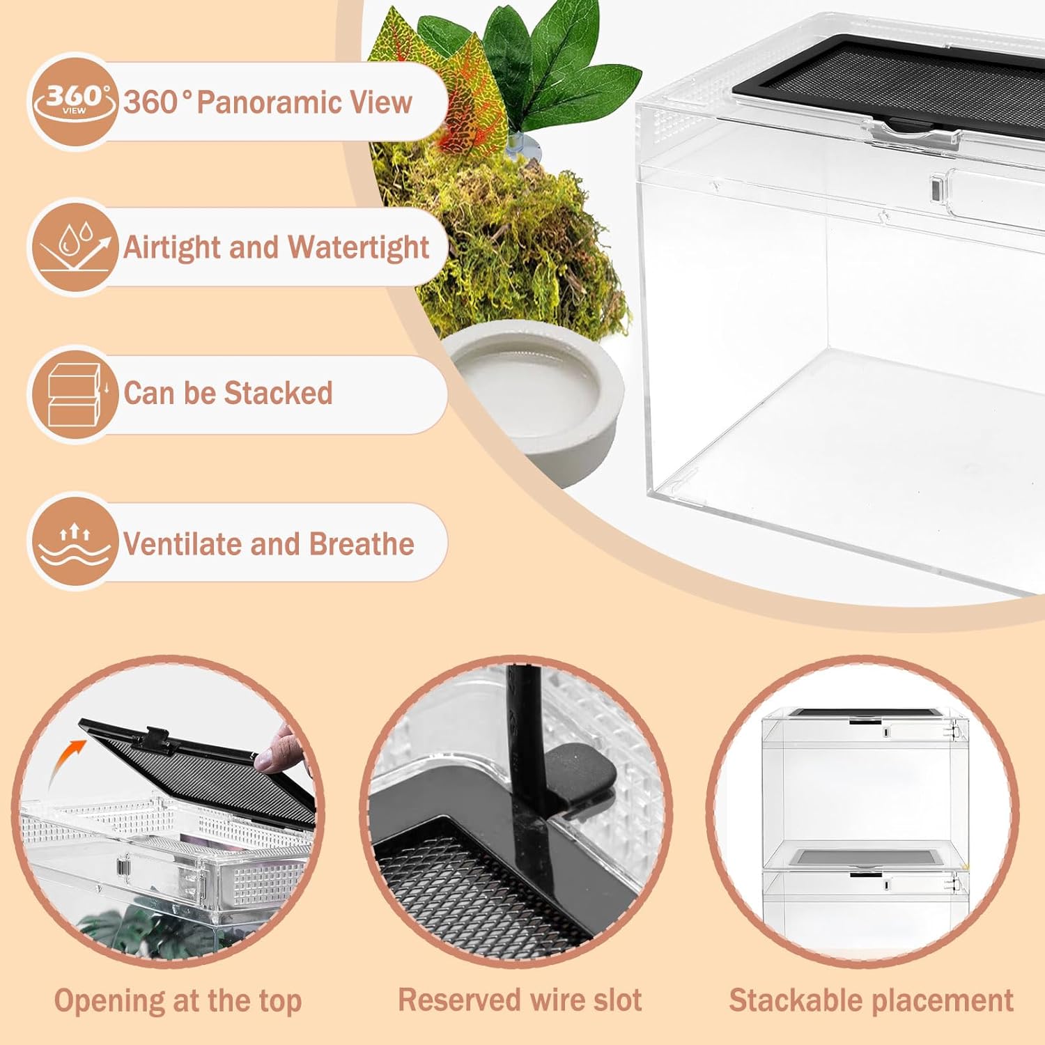 Reptile Terrarium, Jumping Spider Enclosure Starter Kit, Leopard Gecko Habitat Container, 8"x8"x7"Reptile Tank for Tarantula, Hermit Crab, Insect, Fish, Frog, Small Bearded Dragon, Lizard - Happypetzone.online - Image 5