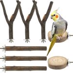 bird perch natural wood