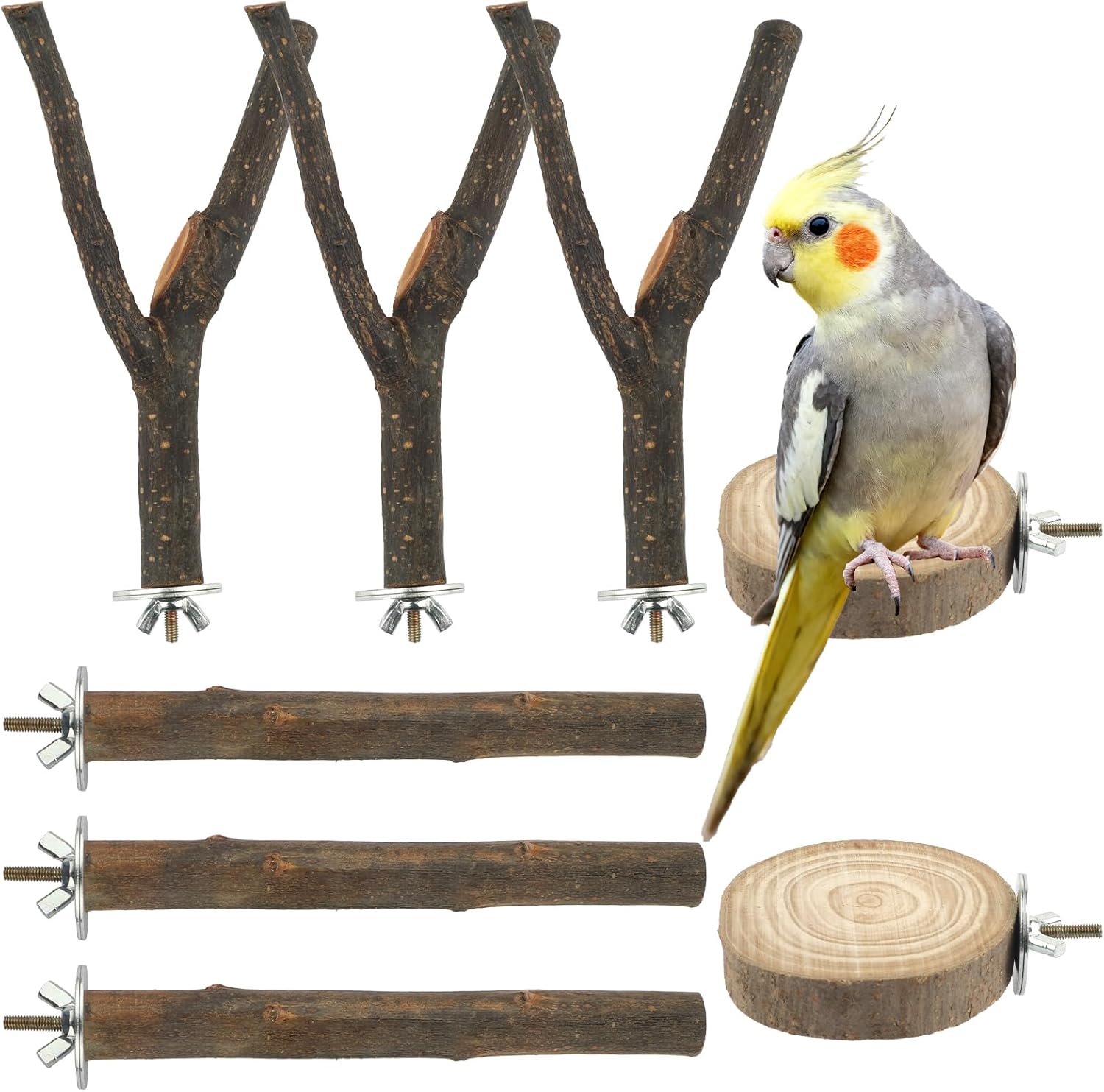 bird perch natural wood