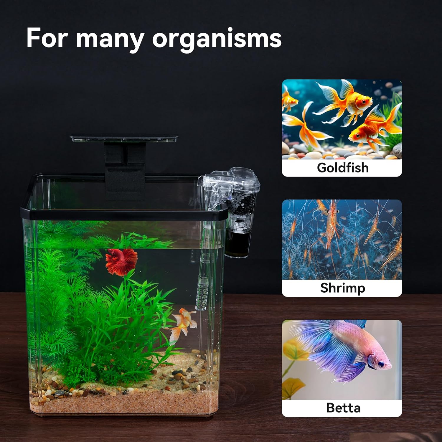 1.5 Gallon Aquarium Starter Kits - Plastic Fish Tank Kit Clear Beta Fish Tank Small with Filteration Oxygenation, Water Circulation, Lighting - Beginner's Gift for Guppy, Shrimp, Goldfish - Happypetzone.online - Image 9
