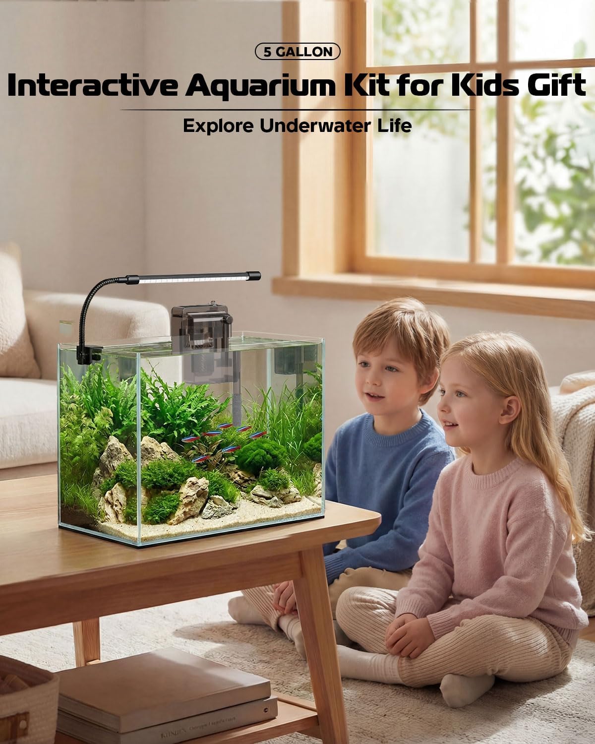 Glass Fish Tank Kit, 5 Gallon Betta Fish Tank Aquarium Starter Kit with Filter, Lights, Lid, for Betta, Goldfish, Small Fish or shrimg,Clear - Happypetzone.online - Image 3