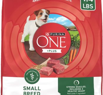 dog food for small dogs