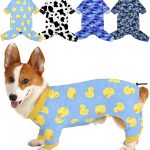 dog clothes cute
