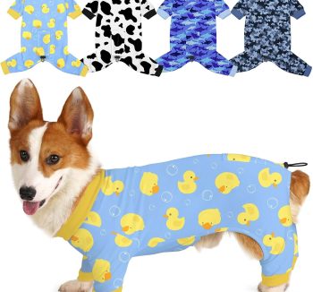 dog clothes cute