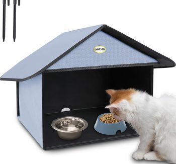 cat food for outdoor cats