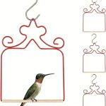 bird swing for birds