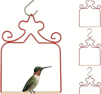 bird swing for birds