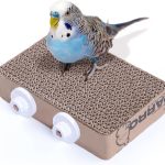 bird toys for boredom