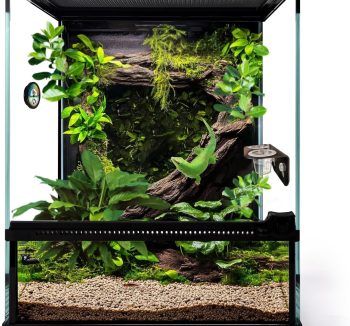 reptile habitat enclosure