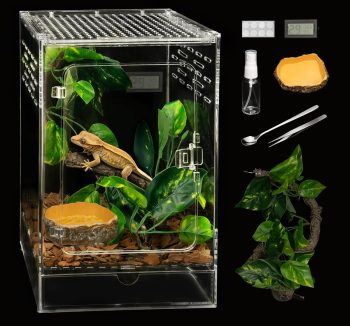 gecko terrarium tank