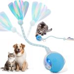 cat toy ball rolling