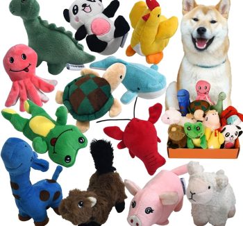 small pet toy bundle