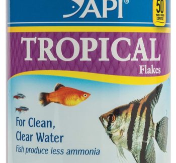 tropical fish food
