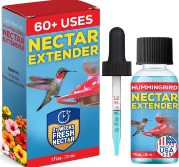 natural bird food