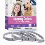dog calming supplement