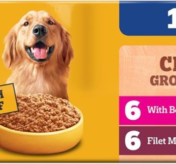 best wet dog food