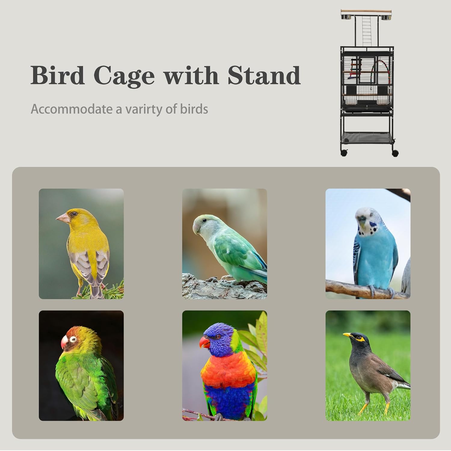 51" Small Bird Cage with Stand,Parakeet Cage, Parrot cage with Parakeet Toys, Bird Cage Accessories for Lovebirds Cockatiel Conure Finch Canary Budgie - Happypetzone.online - Image 9