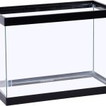 glass aquarium tank