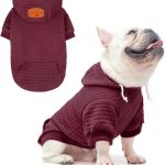 large dog clothes winter