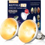 reptile heat bulb