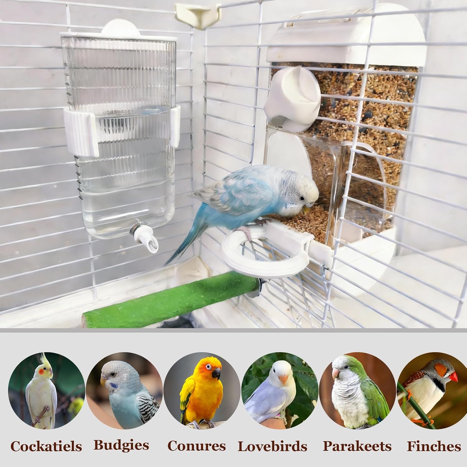 Automatic Bird Feeder Waterer Kit Bird Cage Hanging Waterer Parakeet Leak-Proof Feeder Parrot Vegetable Clips Cage Accessories for Budgies Lovebirds Finches Canaries Parrotlets Conures (White) - Happypetzone.online - Image 7