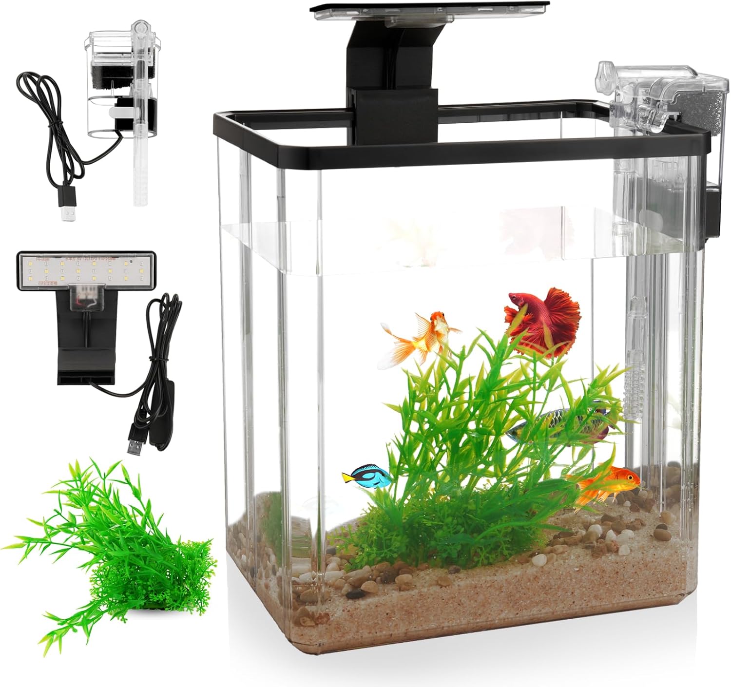 aquarium starter bundle