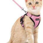 cat harness for small cats