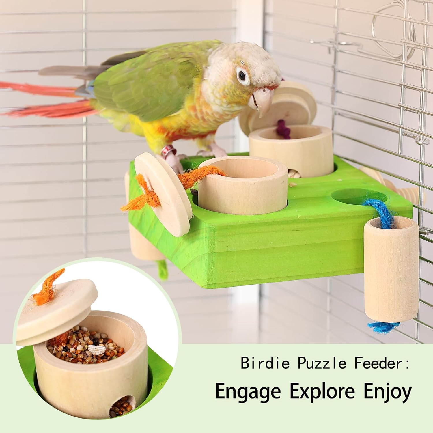 Birdie Puzzle Feeder - Interactive Foraging Toy for Parrots, Parakeets, Cockatiels, Conures | Mental Enrichment & Stimulation Game to Prevent Boredom (Green) - Happypetzone.online - Image 4