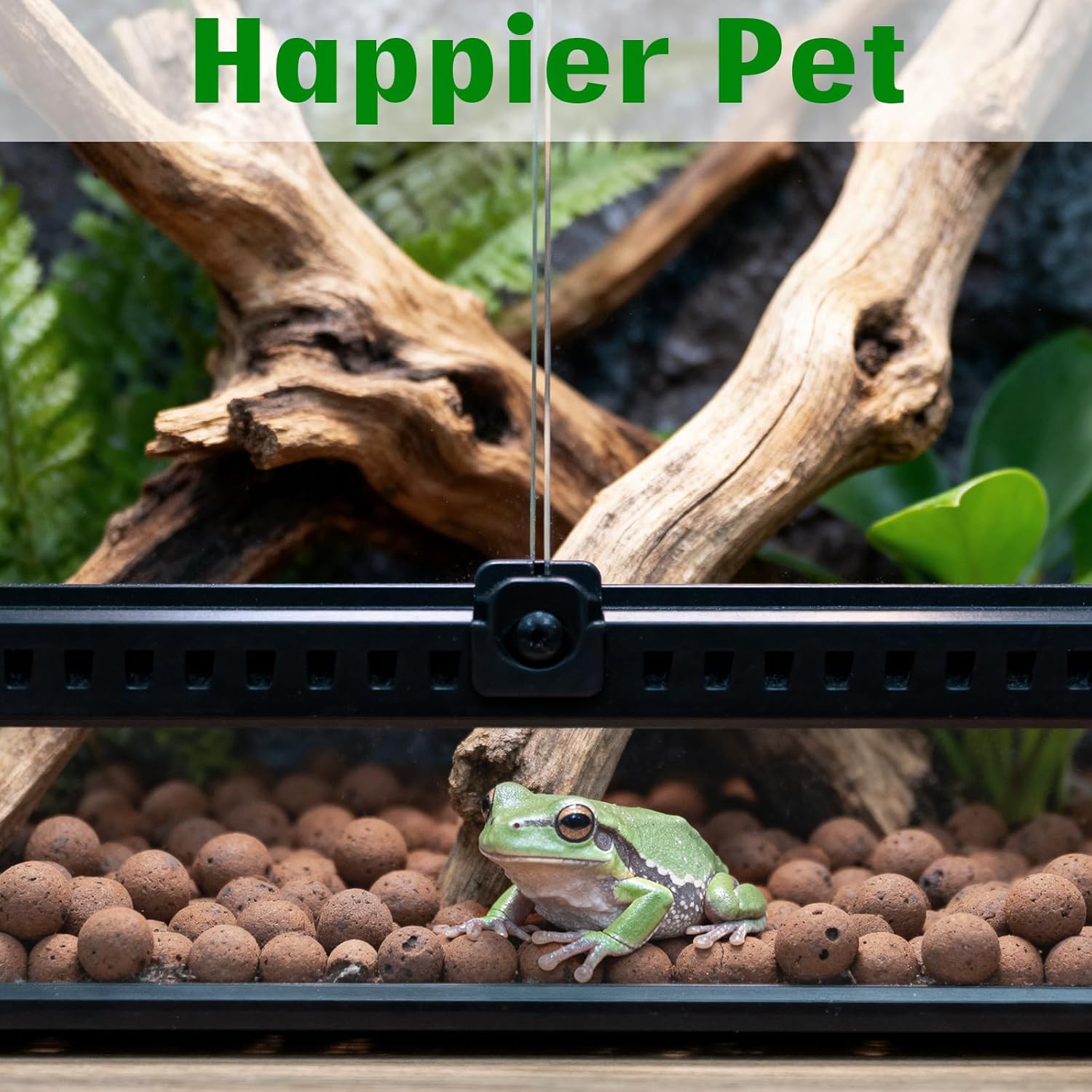 Halatool Reptile Substrate 2QT Clay Pebbles Terrarium Bedding for Reptiles Organic Clay Balls Bioactive Drainage Layer for Terrariums & Vivariums Leopard Gecko Tortoise Frog Lizard Ball Python - Happypetzone.online - Image 8