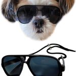 dog sunglasses